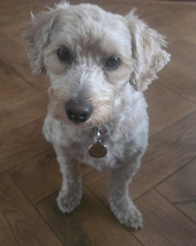Natty, ALP Collective's Chief Joy Officer